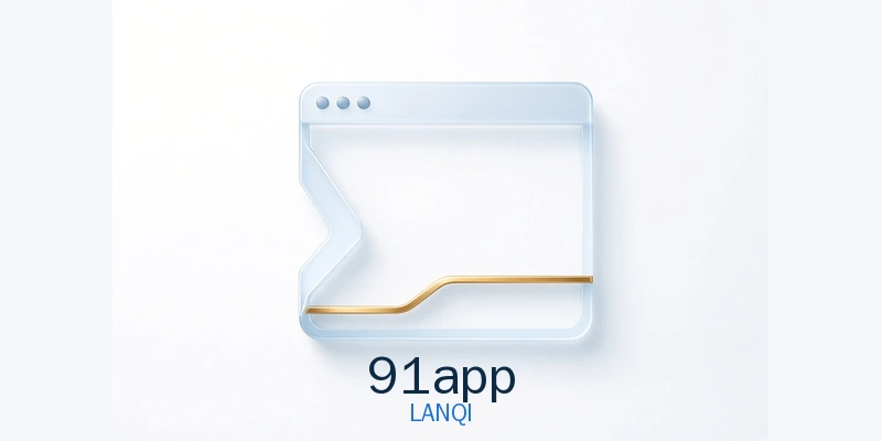 91app标识